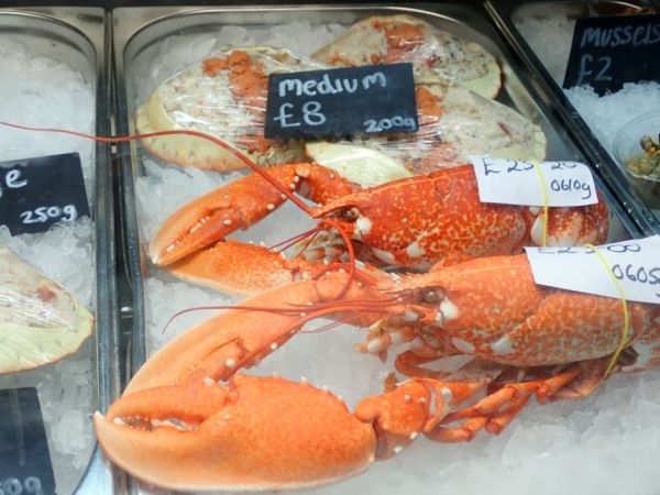 Fresh seafood Cornwall