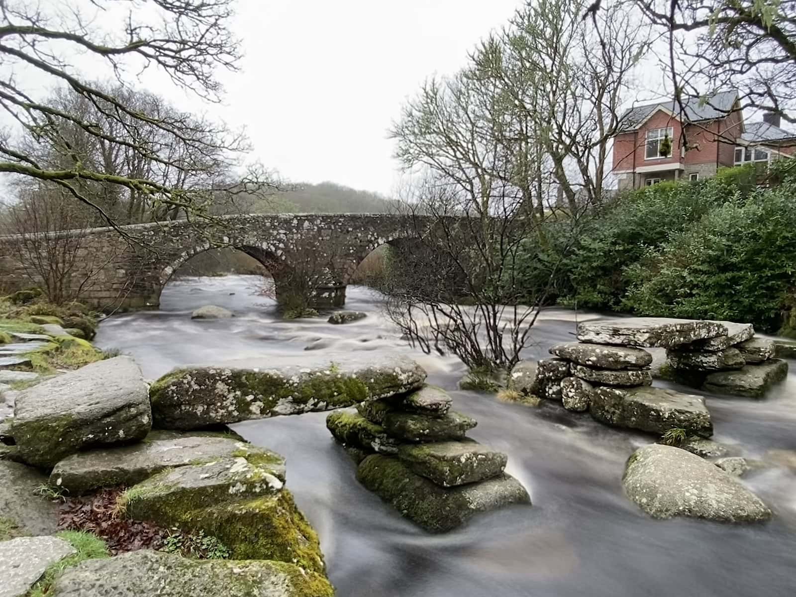 Dartmeet