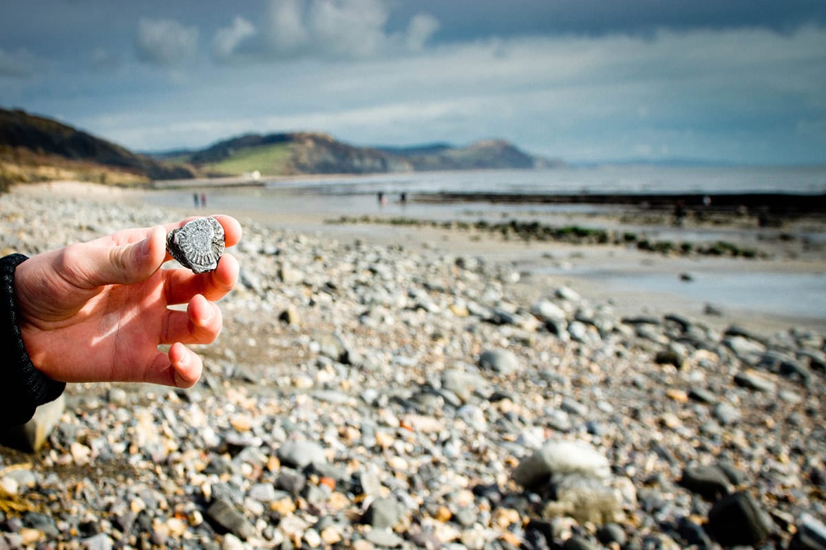 Charmouth Beach