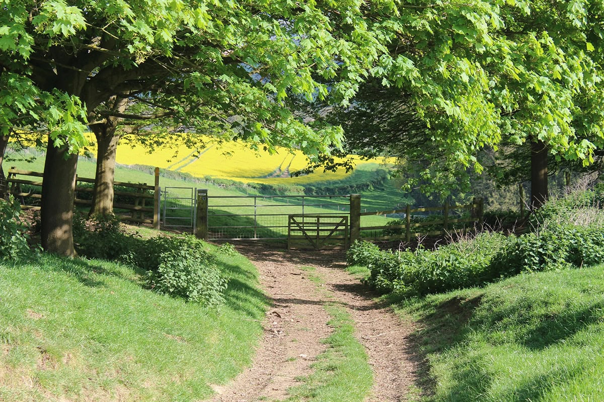 Rolling farmland (Credit Malcolm West)